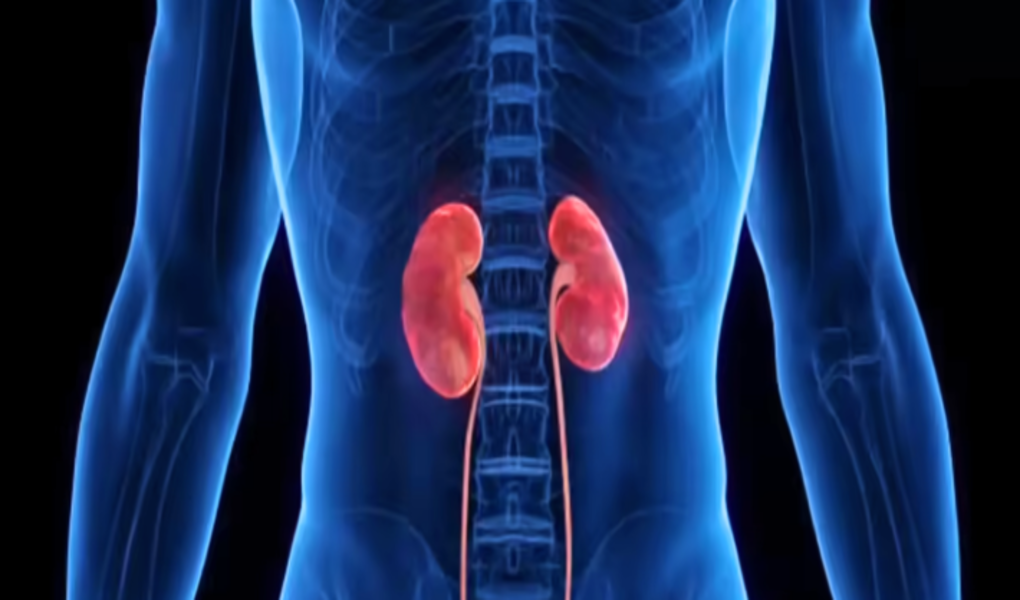 Cuidado! Esse tipo de vibração adoece os Rins